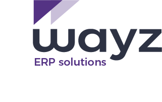 Wayz Consulting logo